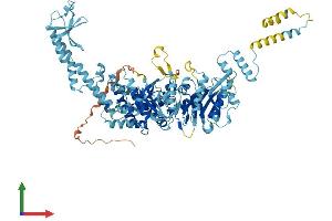 AlphaFold protein structure predicition of Human Recombinant MSH5 Protein, UniprotID O43196 (MSH5 Protein (AA 1-834) (His tag))