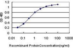Detection limit for recombinant GST tagged HIP1R is approximately 0. (HIP1R antibody  (AA 969-1066))