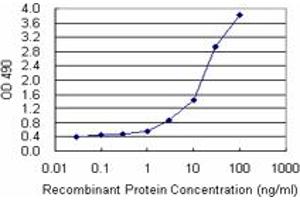 Sandwich ELISA detection sensitivity ranging from 10 ng/mL to 100 ng/mL. (STAT1 (Human) Matched Antibody Pair)