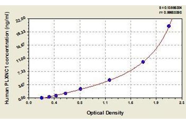 Plexin C1 ELISA Kit