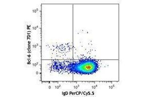 Flow Cytometry (FACS) image for anti-B-Cell CLL/lymphoma 6 (BCL6) antibody (PE) (ABIN2662402) (BCL6 antibody  (PE))