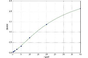 Annexin A2 (ANXA2) ELISA Kit