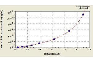 TPK1 ELISA Kit