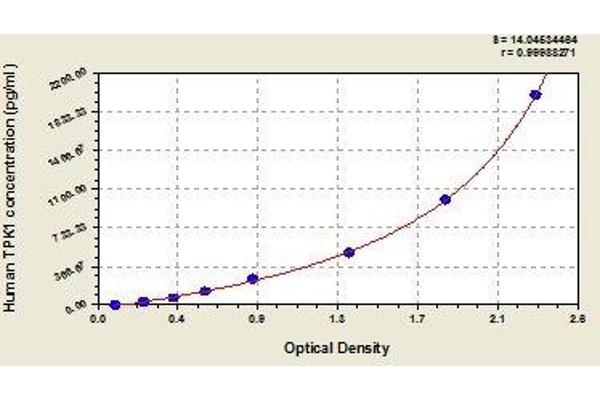 TPK1 ELISA Kit