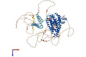 PDE4A Protein (AA 1-844) (His tag)