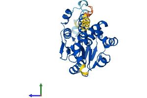 AlphaFold protein structure predicition of Human Recombinant ECHDC1 Protein, UniprotID Q9NTX5