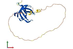 Protein Structure (PS) image for Oligonucleotide/oligosaccharide-Binding Fold Containing 2A (OBFC2A) (AA 1-198) protein (His tag) (ABIN7558589)