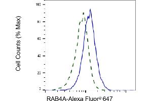Validation of RAB4A knockdown using flow cytometry.
