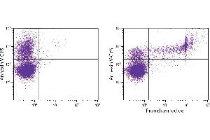 Day old BALB/c mouse bone marrow cells were stained with Annexin V-CY5. (Annexin V-FITC)