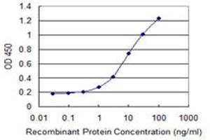 Detection limit for recombinant GST tagged EXOSC4 is 0. (EXOSC4 antibody  (AA 1-100))