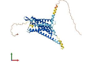 Protein Structure (PS) image for Oxytocin Receptor (OXTR) (AA 1-389) protein (His tag) (ABIN7550333)