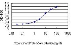 Detection limit for recombinant GST tagged CCNB1 is approximately 0. (Cyclin B1 antibody  (AA 1-90))