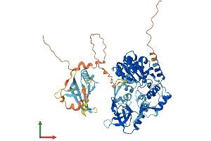 Protein Structure (PS) image for PIF1 5'-To-3' DNA Helicase (PIF1) (AA 1-641) protein (His tag) (ABIN7554938)