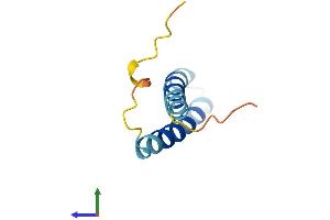 Protein Structure (PS) image for Synovial Sarcoma Translocation Gene On Chromosome 18-Like 2 (SS18L2) (AA 1-77) protein (Fc Tag) (ABIN7551613)