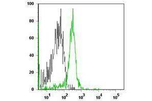 Flow Cytometry (FACS) image for anti-CD86 (CD86) antibody (Alexa Fluor 647) (ABIN2657859) (CD86 antibody  (Alexa Fluor 647))