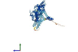 AlphaFold protein structure predicition of Mouse Recombinant Abcb9 Protein, UniprotID Q9JJ59