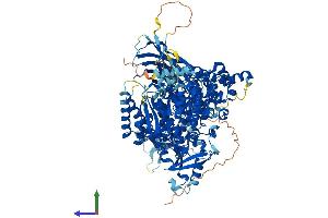 Protein Structure (PS) image for Phosphoinositide-3-Kinase, Catalytic, gamma Polypeptide (PIK3CG) (AA 1-1102) protein (His tag) (ABIN7555005)