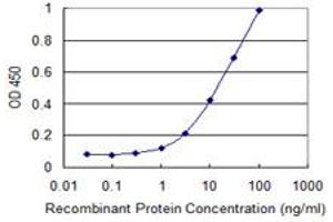 Detection limit for recombinant GST tagged WWTR1 is 0. (WWTR1 antibody  (AA 201-300))
