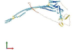 AlphaFold protein structure predicition of Human Recombinant DCST2 Protein, UniprotID Q5T1A1 (DCST2 Protein (AA 1-773) (His tag))