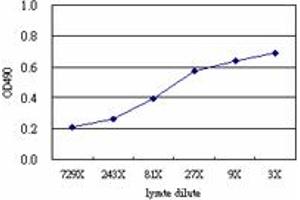 Sandwich ELISA detection sensitivity ranging from approximately 729x to 3x dilution of the GART 293T overexpression lysate (non-denatured). (GART (Human) Matched Antibody Pair)