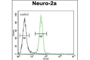 RT34 Antibody (N-term) (ABIN654944 and ABIN2844585) flow cytometric analysis of Neuro-2a cells (right histogram) compared to a negative control cell (left histogram). (MRPS34 antibody  (N-Term))