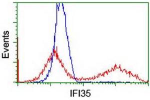 HEK293T cells transfected with either RC200929 overexpress plasmid (Red) or empty vector control plasmid (Blue) were immunostained by anti-IFI35 antibody (ABIN2454902), and then analyzed by flow cytometry. (IFI35 antibody)