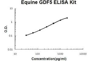 Horse equine GDF5 PicoKine ELISA Kit standard curve (GDF5 ELISA Kit)