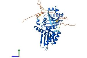 AlphaFold protein structure predicition of Mouse Recombinant Rragb Protein, UniprotID Q6NTA4 (RRAGB Protein (AA 1-374) (His tag))