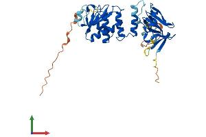 AlphaFold protein structure predicition of Mouse Recombinant Dusp12 Protein, UniprotID Q9D0T2 (DUSP12 Protein (AA 1-339) (His tag))