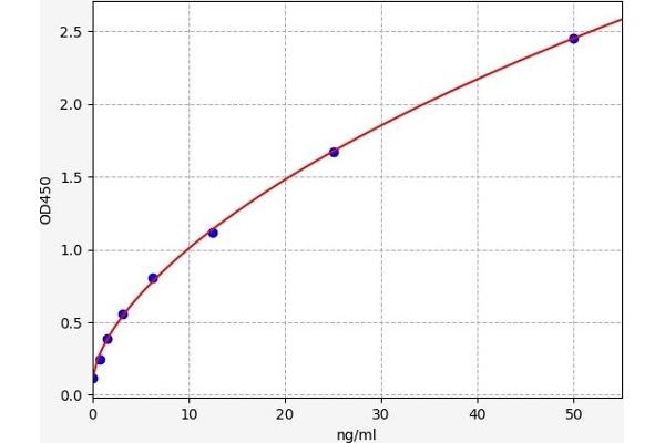 PIBF1 ELISA Kit