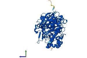 Protein Structure (PS) image for Xylulokinase (XYLB) (AA 1-536) protein (His tag) (ABIN7545201)