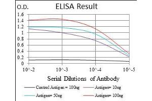 Black line: Control Antigen (100 ng), Purple line: Antigen(10 ng), Blue line: Antigen (50 ng), Red line: Antigen (100 ng), (PLAGL1 antibody  (AA 118-222))