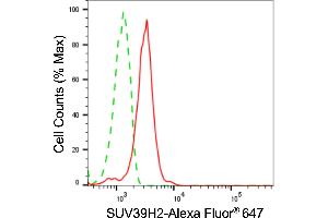 Flow cytometric analysis of SUV39H2 expression in C2C12 cells using SUV39H2 antibody (ABIN7800468), 1:2,000).
