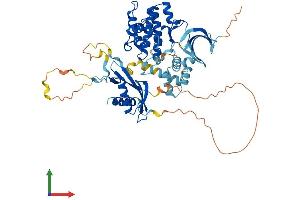 AlphaFold protein structure predicition of Mouse Recombinant Prkaa2 Protein, UniprotID Q8BRK8 (PRKAA2 Protein (AA 1-552) (His tag))