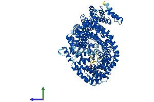 Protein Structure (PS) image for Importin 11 (IPO11) (AA 1-975) protein (His tag) (ABIN7554209)