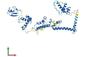 AlphaFold protein structure predicition of Human Recombinant TADA2B Protein, UniprotID Q86TJ2