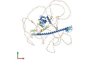 AlphaFold protein structure predicition of Mouse Recombinant Bach2 Protein, UniprotID P97303