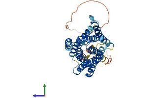 AlphaFold protein structure predicition of Mouse Recombinant Slc39a11 Protein, UniprotID Q8BWY7 (SLC39A11 Protein (AA 1-342) (His tag))