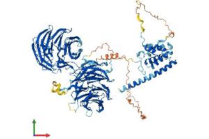 Protein Structure (PS) image for WD Repeat Domain 36 (WDR36) (AA 1-951) protein (His tag) (ABIN7556041)