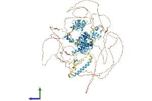 AlphaFold protein structure predicition of Human Recombinant ADNP Protein, UniprotID Q9H2P0 (ADNP Protein (AA 1-1102) (His tag))