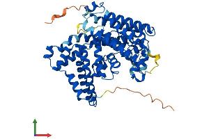 AlphaFold protein structure predicition of Mouse Recombinant Mboat1 Protein, UniprotID Q8BH98