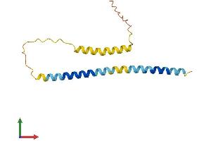 AlphaFold protein structure predicition of Human Recombinant PXT1 Protein, UniprotID Q8NFP0 (PXT1 Protein (AA 1-134) (His tag))