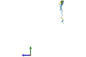 Protein Structure (PS) image for Small Proline-Rich Protein 2E (SPRR2E) (AA 1-72) protein (Fc Tag) (ABIN7546412)