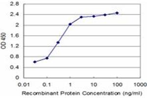 Detection limit for recombinant GST tagged SYNE2 is approximately 0. (SYNE2 antibody  (AA 6702-6799))