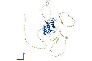 AlphaFold protein structure predicition of Human Recombinant PPP4R2 Protein, UniprotID Q9NY27 (PPP4R2 Protein (AA 1-417) (His tag))