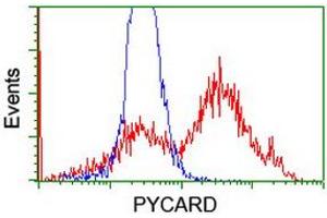 Image no. 8 for anti-PYD and CARD Domain Containing (PYCARD) antibody (ABIN1500518) (PYCARD antibody)