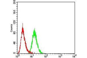 Flow cytometric analysis of Hela cells using BMP4 mouse mAb (green) and negative control (red). (BMP4 antibody  (AA 277-408))
