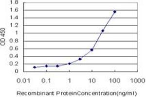 Detection limit for recombinant GST tagged APLN is approximately 0. (Apelin antibody  (AA 1-122))