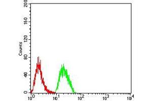 Flow cytometric analysis of Hela cells using CD2 mouse mAb (green) and negative control (red). (CD2 antibody  (AA 25-140))