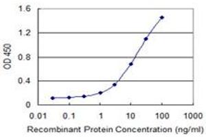 Detection limit for recombinant GST tagged HSD17B12 is 0. (HSD17B12 antibody  (AA 203-271))